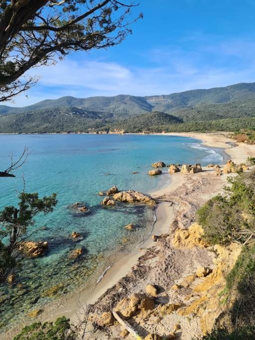 Mini Villa 69 - Piscine Chauffee Serra-di-Ferro  Εξωτερικό φωτογραφία