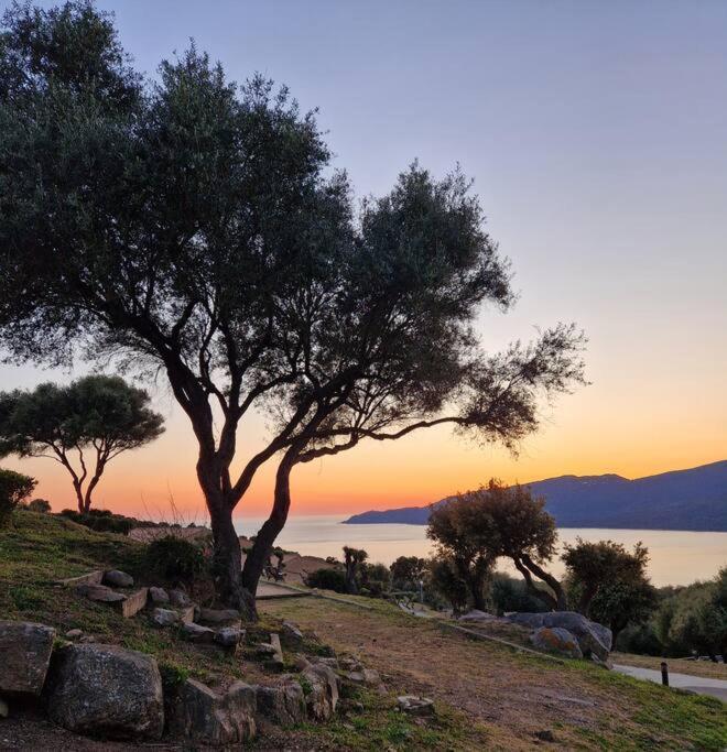 Mini Villa 69 - Piscine Chauffee Serra-di-Ferro  Εξωτερικό φωτογραφία
