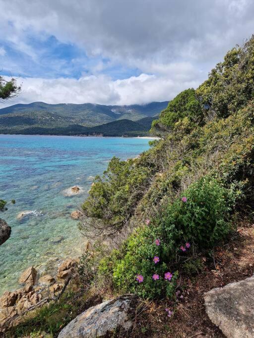Mini Villa 69 - Piscine Chauffee Serra-di-Ferro  Εξωτερικό φωτογραφία